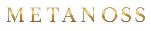 Metanoss